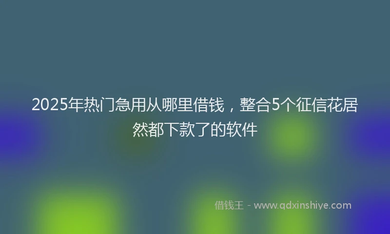 2025年热门急用从哪里借钱，整合5个征信花居然都下款了的软件