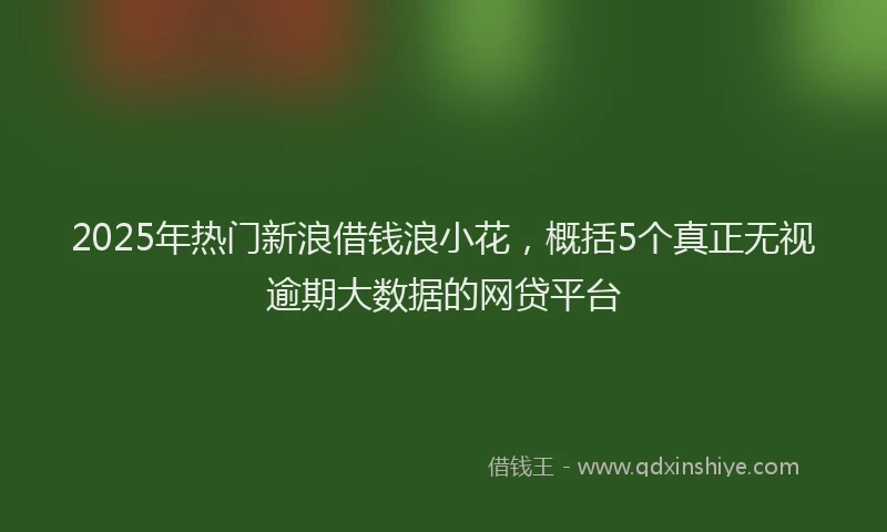 2025年热门新浪借钱浪小花，概括5个真正无视逾期大数据的网贷平台