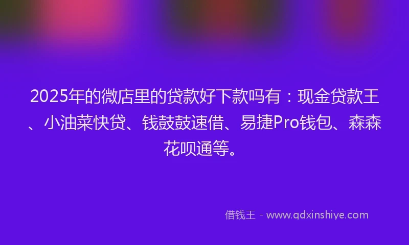 2025年的微店里的贷款好下款吗有：现金贷款王、小油菜快贷、钱鼓鼓速借、易捷Pro钱包、森森花呗通等。