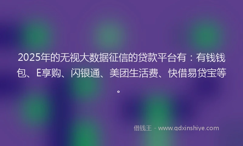 2025年的无视大数据征信的贷款平台有：有钱钱包、E享购、闪银通、美团生活费、快借易贷宝等。