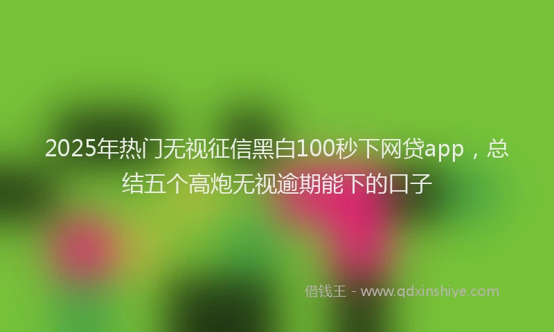 2025年热门无视征信黑白100秒下网贷app，总结五个高炮无视逾期能下的口子