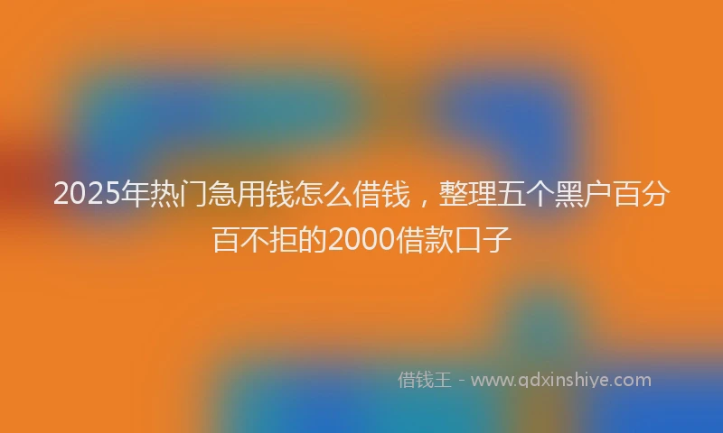 2025年热门急用钱怎么借钱，整理五个黑户百分百不拒的2000借款口子