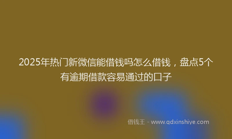 2025年热门新微信能借钱吗怎么借钱，盘点5个有逾期借款容易通过的口子