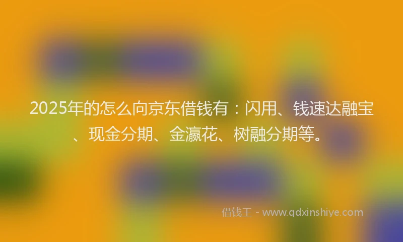 2025年的怎么向京东借钱有：闪用、钱速达融宝、现金分期、金瀛花、树融分期等。