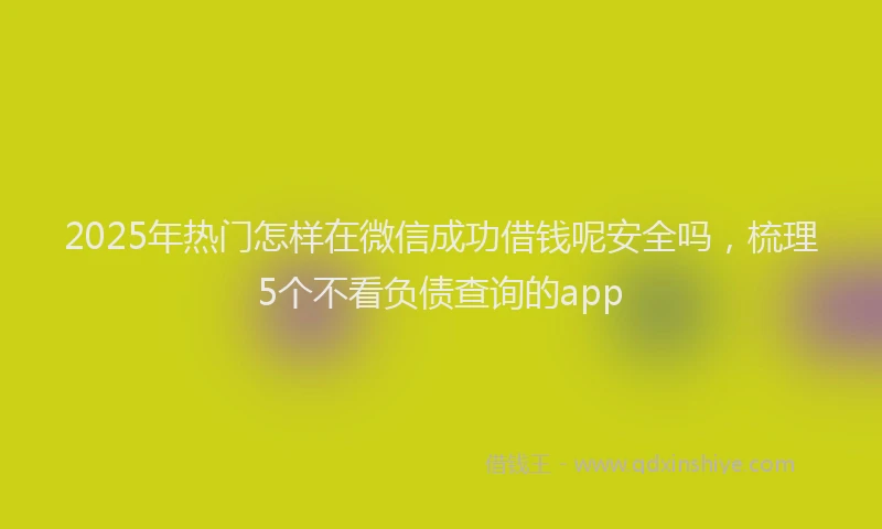 2025年热门怎样在微信成功借钱呢安全吗，梳理5个不看负债查询的app