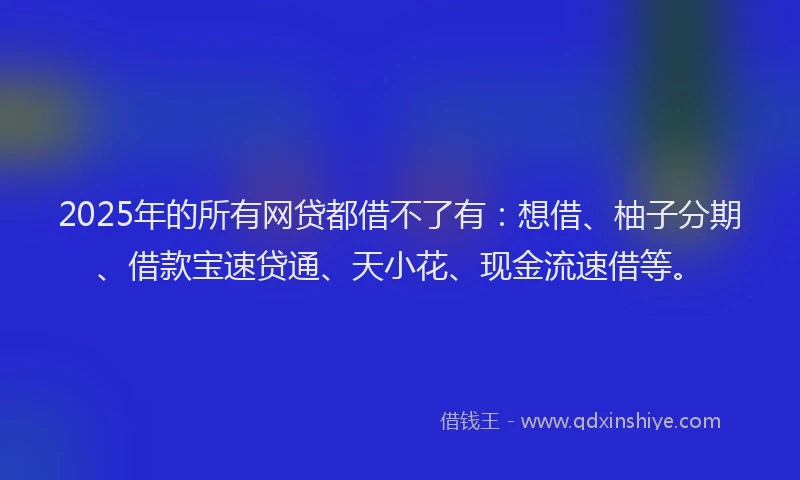 2025年的所有网贷都借不了有：想借、柚子分期、借款宝速贷通、天小花、现金流速借等。