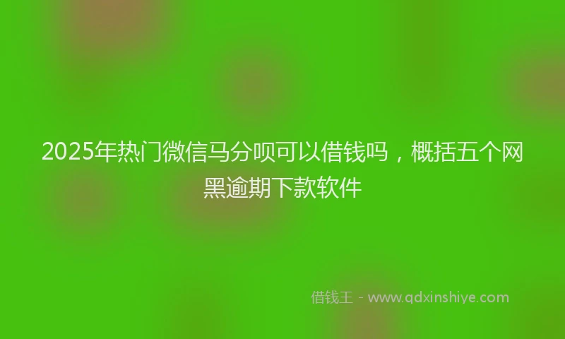 2025年热门微信马分呗可以借钱吗，概括五个网黑逾期下款软件