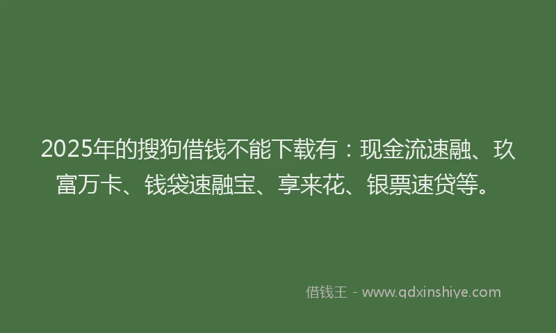 2025年的搜狗借钱不能下载有：现金流速融、玖富万卡、钱袋速融宝、享来花、银票速贷等。