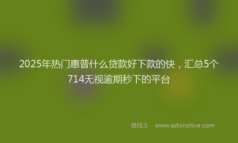 2025年热门惠普什么贷款好下款的快，汇总5个714无视逾期秒下的平台