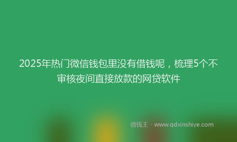 2025年热门微信钱包里没有借钱呢，梳理5个不审核夜间直接放款的网贷软件