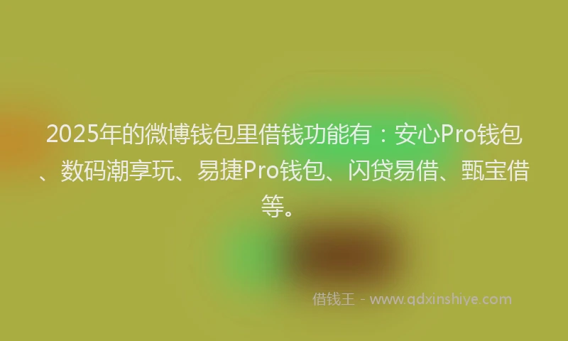 2025年的微博钱包里借钱功能有：安心Pro钱包、数码潮享玩、易捷Pro钱包、闪贷易借、甄宝借等。
