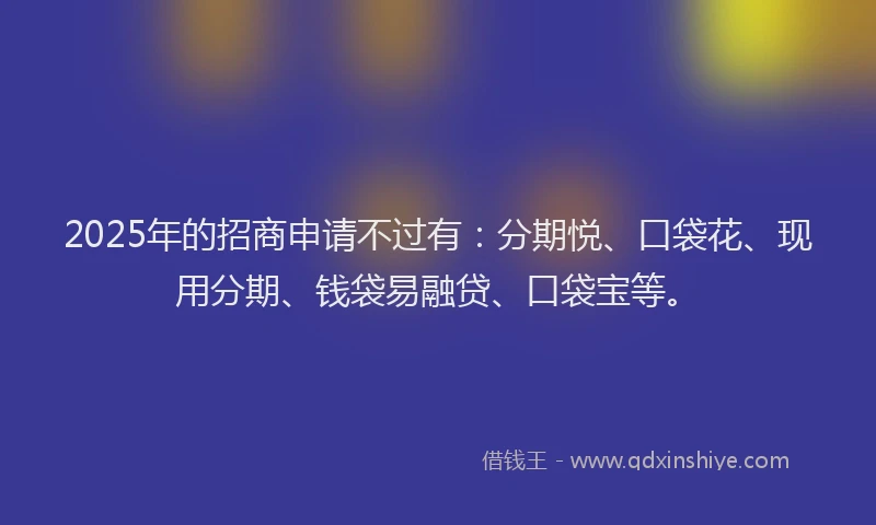 2025年的招商申请不过有：分期悦、口袋花、现用分期、钱袋易融贷、口袋宝等。