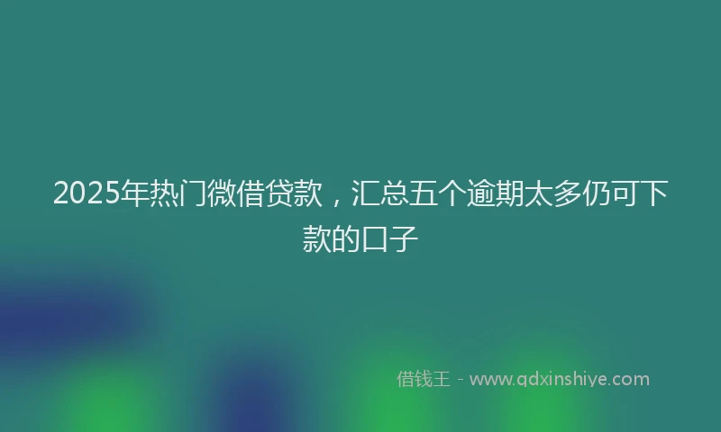 2025年热门微借贷款，汇总五个逾期太多仍可下款的口子