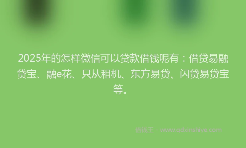 2025年的怎样微信可以贷款借钱呢有：借贷易融贷宝、融e花、只从租机、东方易贷、闪贷易贷宝等。
