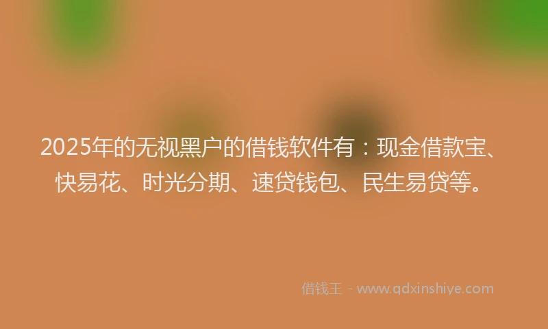 2025年的无视黑户的借钱软件有：现金借款宝、快易花、时光分期、速贷钱包、民生易贷等。