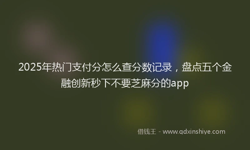 2025年热门支付分怎么查分数记录，盘点五个金融创新秒下不要芝麻分的app