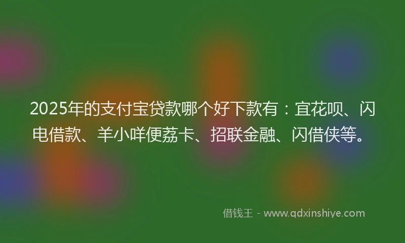 2025年的支付宝贷款哪个好下款有：宜花呗、闪电借款、羊小咩便荔卡、招联金融、闪借侠等。