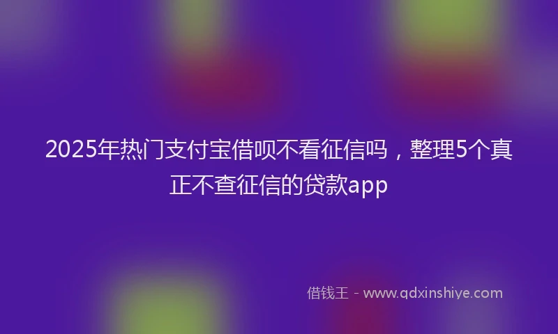 2025年热门支付宝借呗不看征信吗，整理5个真正不查征信的贷款app