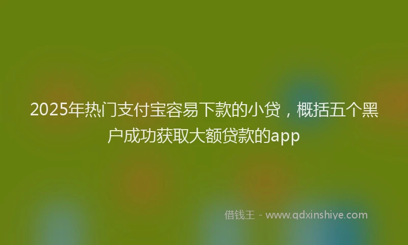 2025年热门支付宝容易下款的小贷，概括五个黑户成功获取大额贷款的app