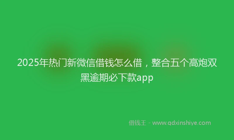 2025年热门新微信借钱怎么借，整合五个高炮双黑逾期必下款app