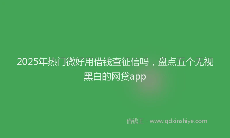 2025年热门微好用借钱查征信吗，盘点五个无视黑白的网贷app