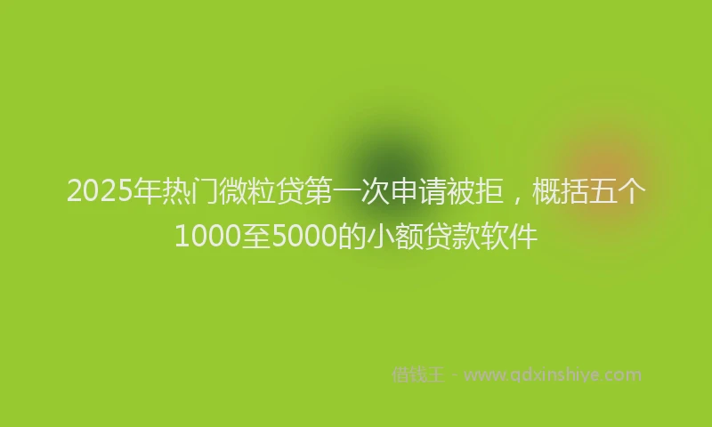 2025年热门微粒贷第一次申请被拒，概括五个1000至5000的小额贷款软件