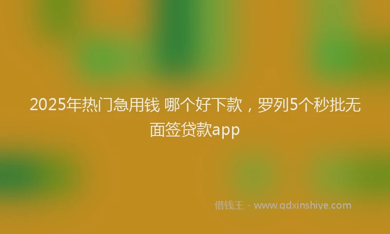 2025年热门急用钱 哪个好下款，罗列5个秒批无面签贷款app