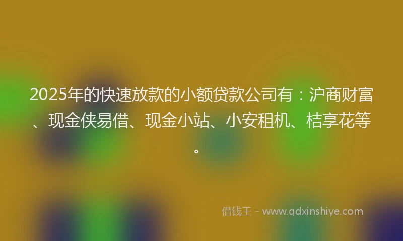 2025年的快速放款的小额贷款公司有：沪商财富、现金侠易借、现金小站、小安租机、桔享花等。