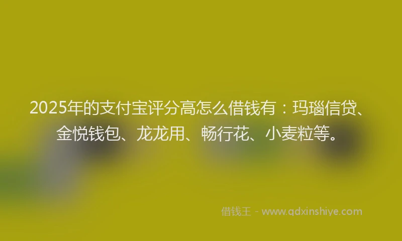2025年的支付宝评分高怎么借钱有：玛瑙信贷、金悦钱包、龙龙用、畅行花、小麦粒等。