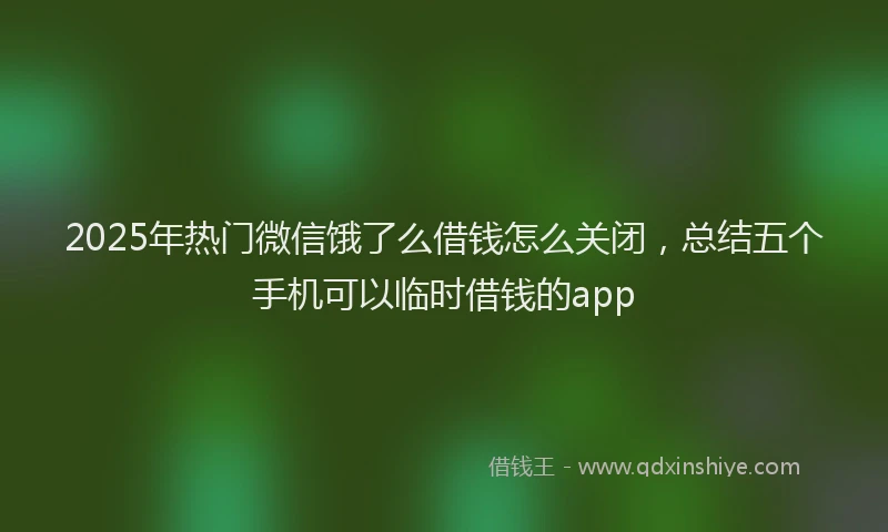 2025年热门微信饿了么借钱怎么关闭，总结五个手机可以临时借钱的app