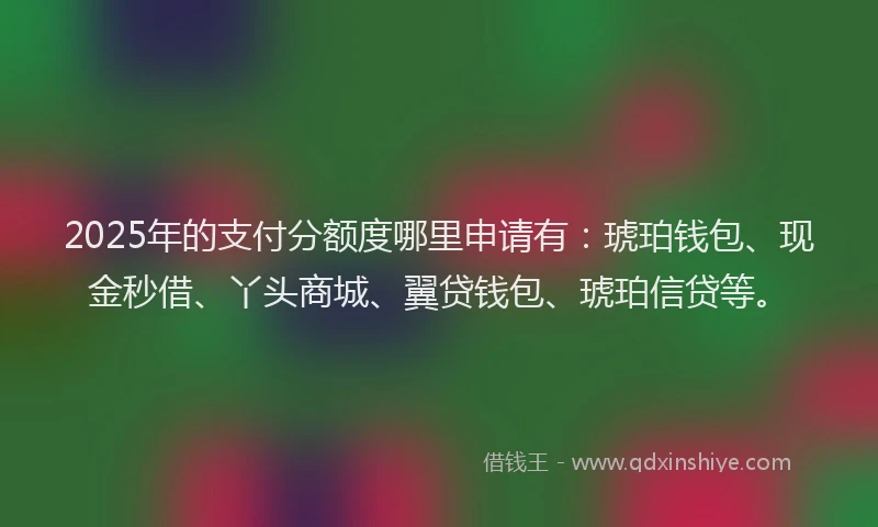 2025年的支付分额度哪里申请有：琥珀钱包、现金秒借、丫头商城、翼贷钱包、琥珀信贷等。
