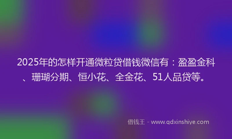 2025年的怎样开通微粒贷借钱微信有：盈盈金科、珊瑚分期、恒小花、全金花、51人品贷等。