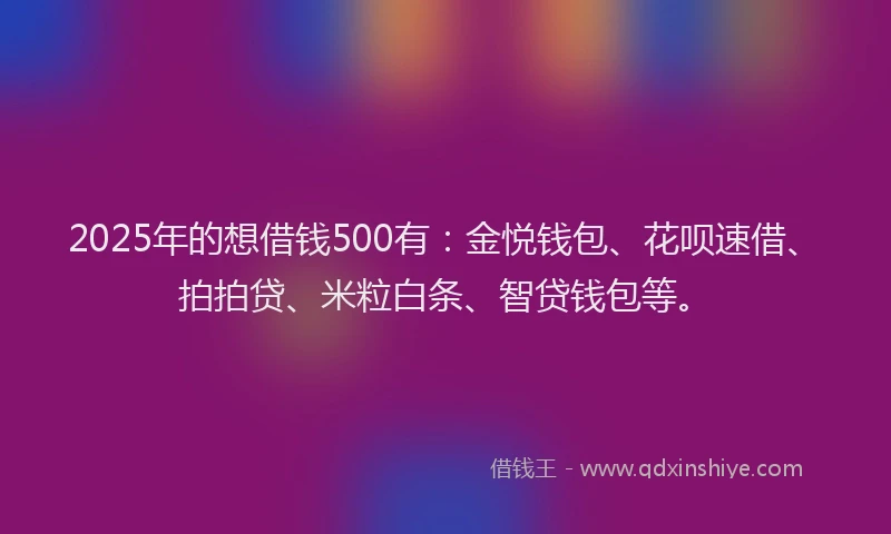 2025年的想借钱500有：金悦钱包、花呗速借、拍拍贷、米粒白条、智贷钱包等。