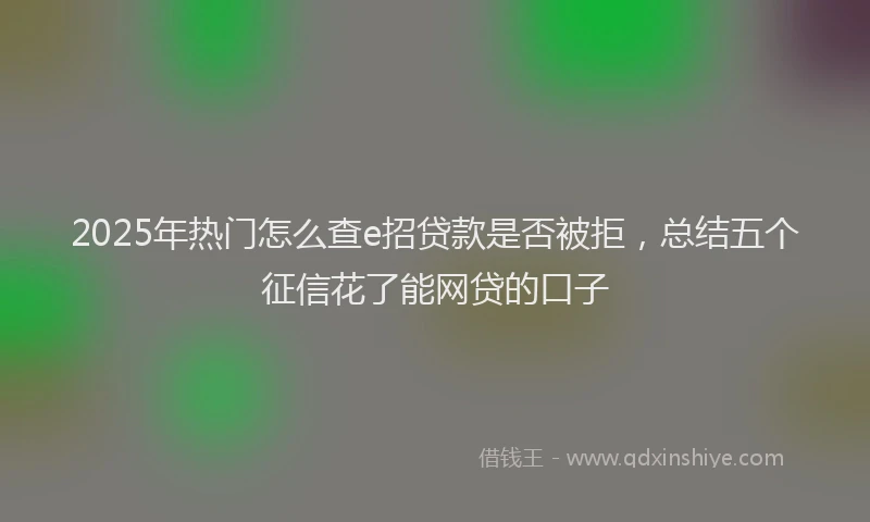 2025年热门怎么查e招贷款是否被拒，总结五个征信花了能网贷的口子