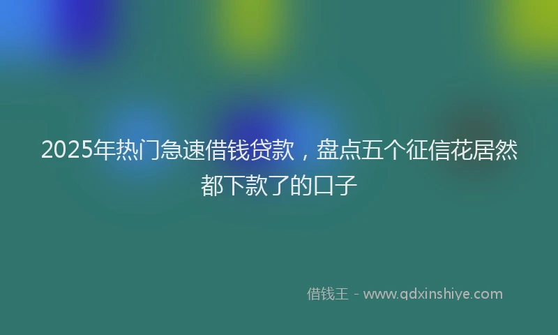 2025年热门急速借钱贷款，盘点五个征信花居然都下款了的口子