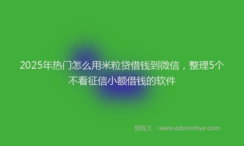 2025年热门怎么用米粒贷借钱到微信，整理5个不看征信小额借钱的软件
