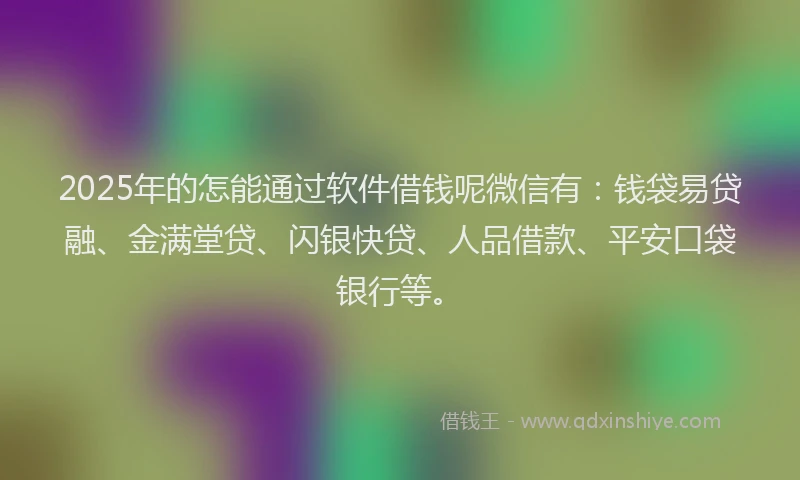 2025年的怎能通过软件借钱呢微信有：钱袋易贷融、金满堂贷、闪银快贷、人品借款、平安口袋银行等。