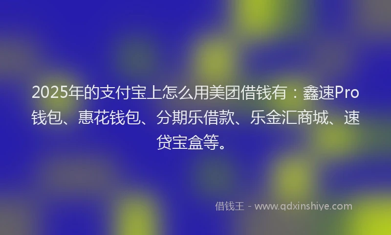 2025年的支付宝上怎么用美团借钱有：鑫速Pro钱包、惠花钱包、分期乐借款、乐金汇商城、速贷宝盒等。