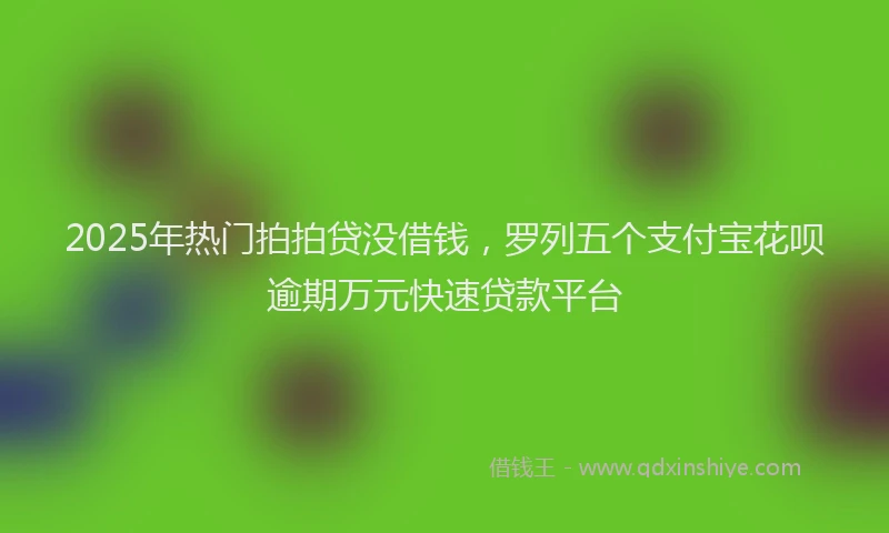 2025年热门拍拍贷没借钱，罗列五个支付宝花呗逾期万元快速贷款平台