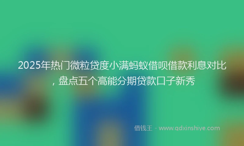 2025年热门微粒贷度小满蚂蚁借呗借款利息对比，盘点五个高能分期贷款口子新秀