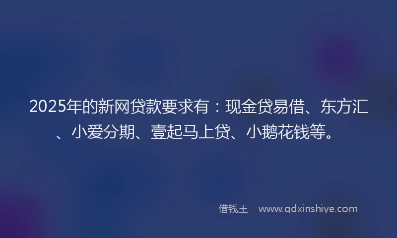 2025年的新网贷款要求有：现金贷易借、东方汇、小爱分期、壹起马上贷、小鹅花钱等。