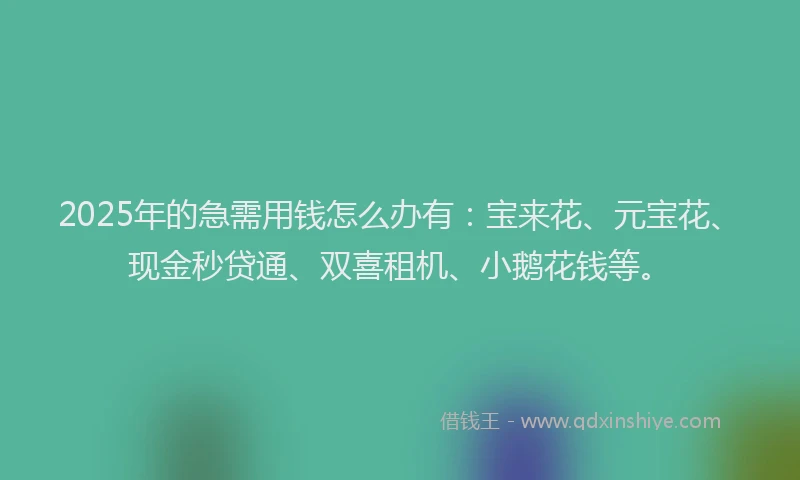 2025年的急需用钱怎么办有：宝来花、元宝花、现金秒贷通、双喜租机、小鹅花钱等。