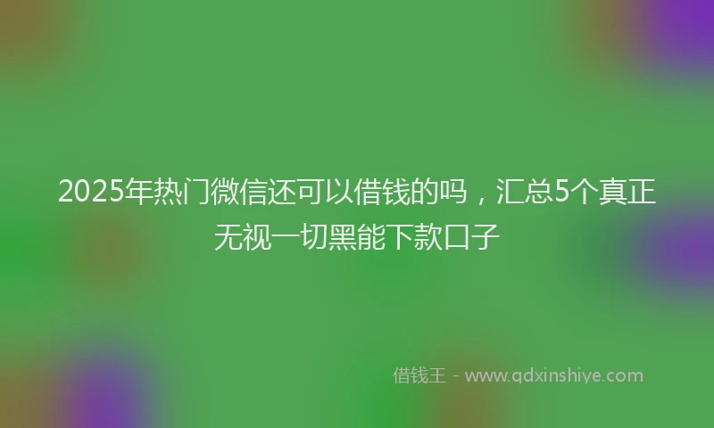 2025年热门微信还可以借钱的吗，汇总5个真正无视一切黑能下款口子