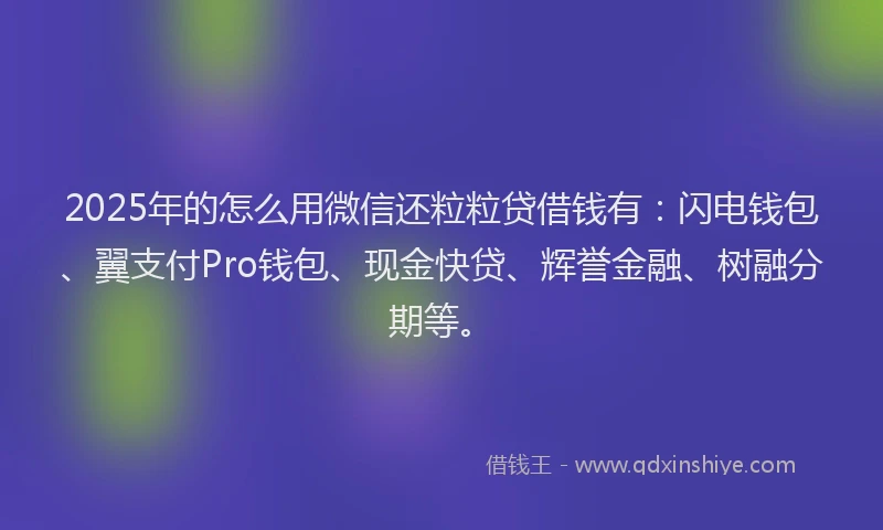 2025年的怎么用微信还粒粒贷借钱有：闪电钱包、翼支付Pro钱包、现金快贷、辉誉金融、树融分期等。