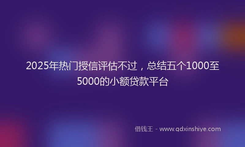 2025年热门授信评估不过，总结五个1000至5000的小额贷款平台