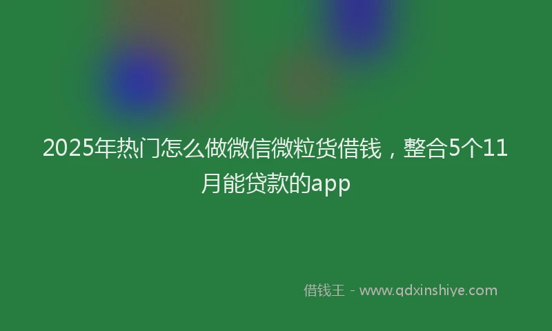 2025年热门怎么做微信微粒货借钱，整合5个11月能贷款的app