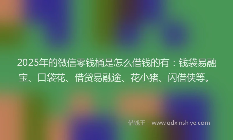 2025年的微信零钱桶是怎么借钱的有：钱袋易融宝、口袋花、借贷易融途、花小猪、闪借侠等。