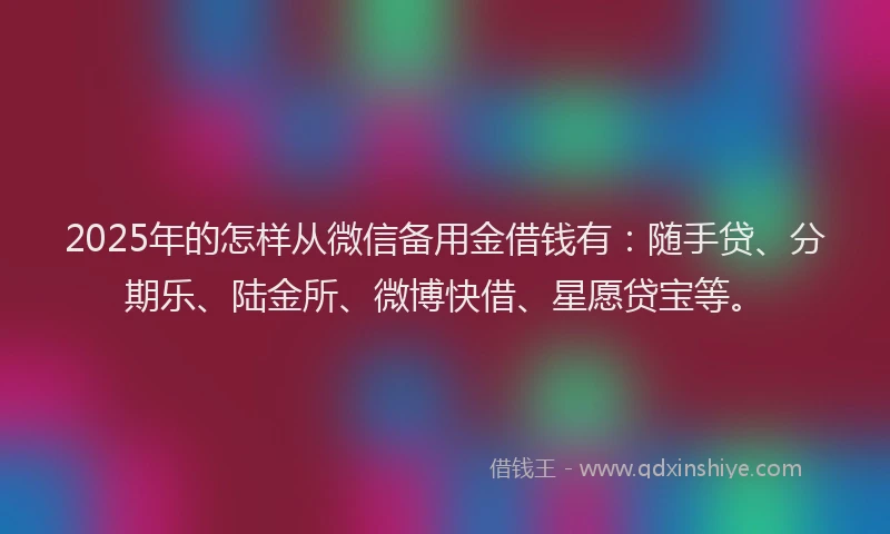 2025年的怎样从微信备用金借钱有：随手贷、分期乐、陆金所、微博快借、星愿贷宝等。