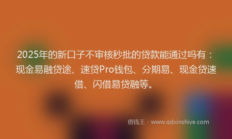 2025年的新口子不审核秒批的贷款能通过吗有：现金易融贷途、速贷Pro钱包、分期易、现金贷速借、闪借易贷融等。