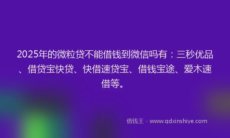 2025年的微粒贷不能借钱到微信吗有：三秒优品、借贷宝快贷、快借速贷宝、借钱宝途、爱木速借等。